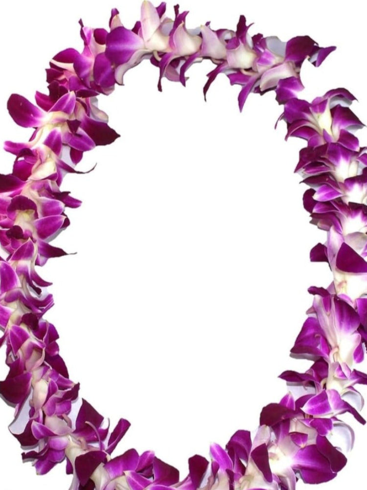 FRESH PURPLE ORCHID LEI